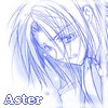 Aster/Edo Phoenix